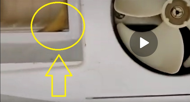 ref-no-frost-air-fan-panel.jpg
